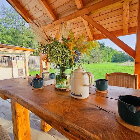 Willa Zakątek - żabi Kraj Mnich