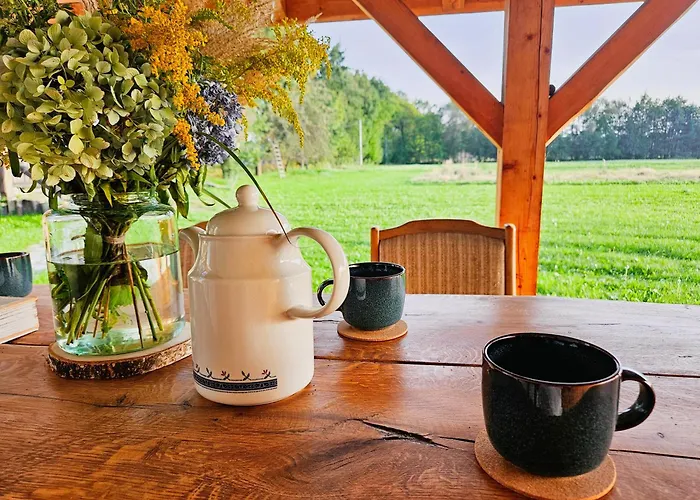 Zakątek - żabi Kraj * Mnich