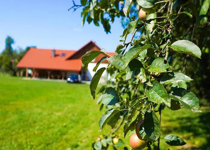 Zakątek - żabi Kraj Willa Mnich