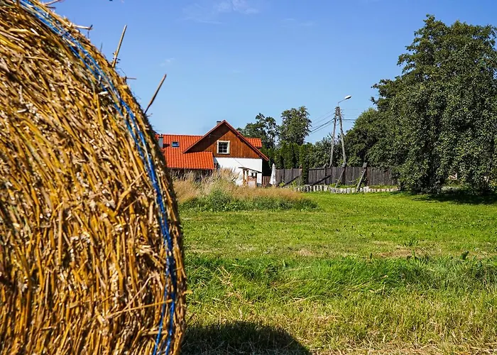 Zakątek - żabi Kraj Willa